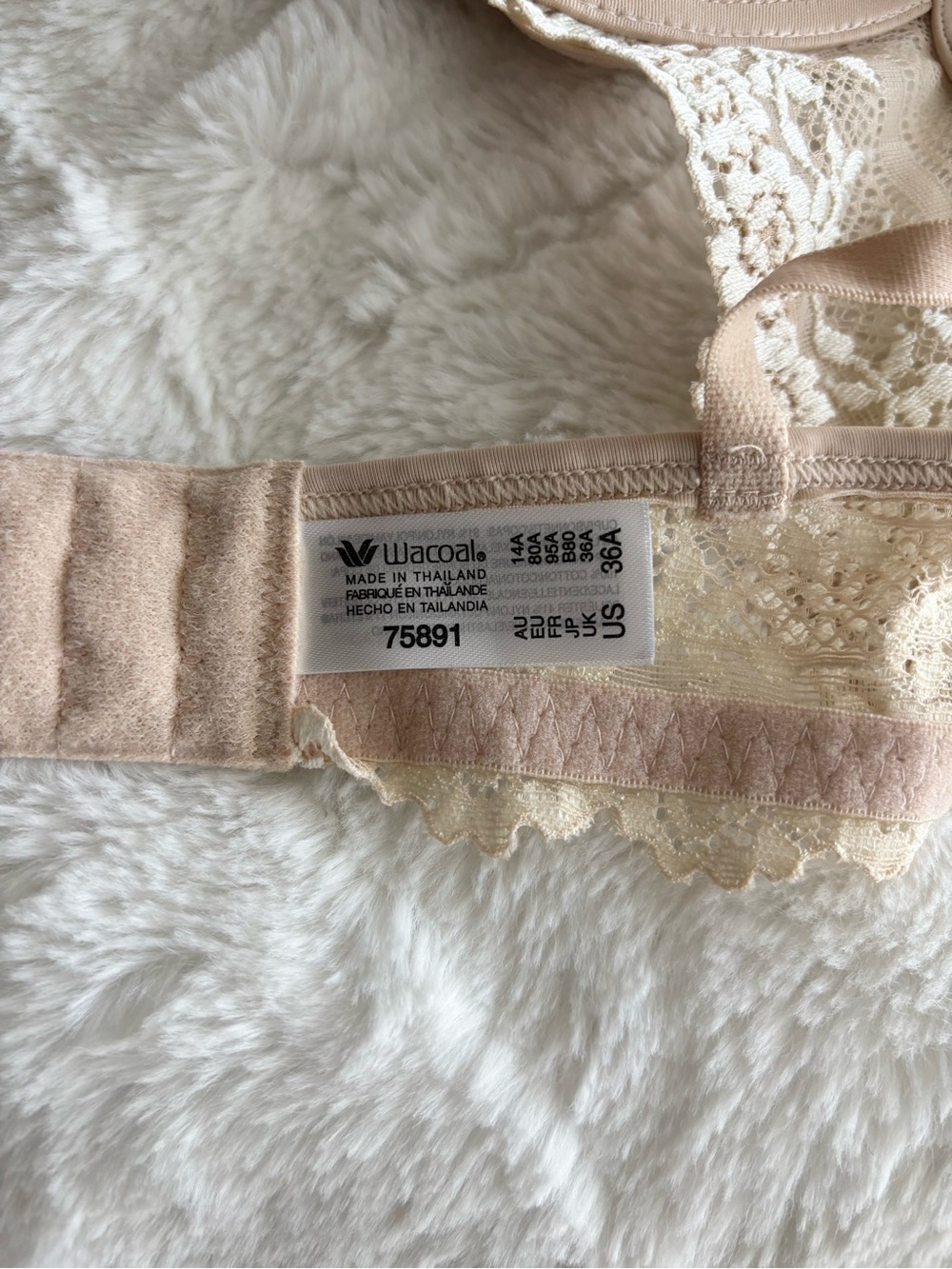 Wacoal Embrace Lace Petite Push Up Underwire Bra in Sand Size 36A NEW Padded - Picture 8 of 14